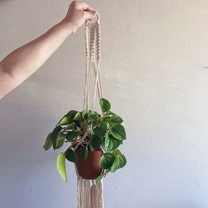 macrame plant pot holder